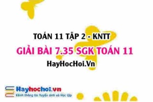 Bài 7.36 SGK Toán 11 Tập 2 Kết nối tri thức